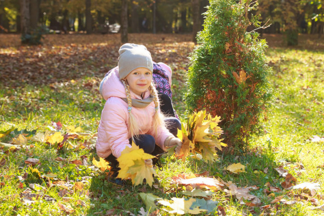 osinniy dytyachiyq fotoset shkola